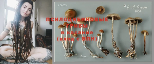 мескалин Аркадак