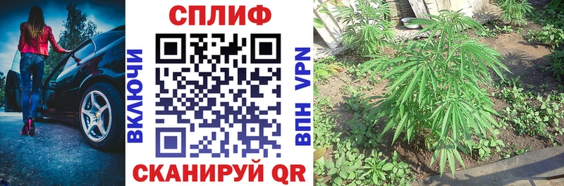 Марихуана конопля Майский
